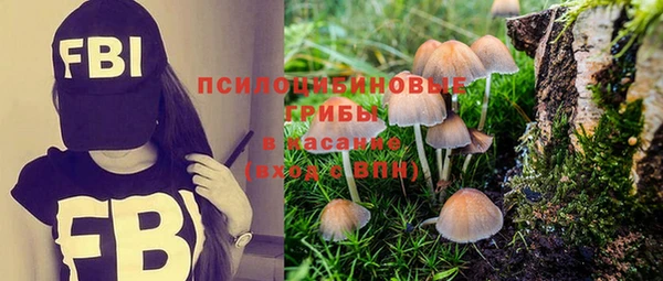 а пвп мука Мегион
